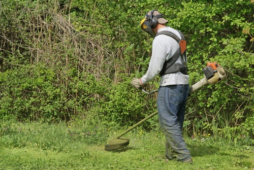 Entretien de jardin tonte taille haies massifs